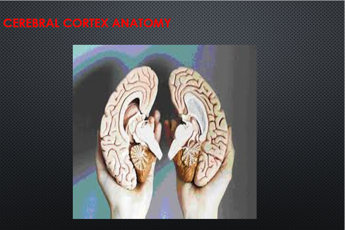 picture9.png