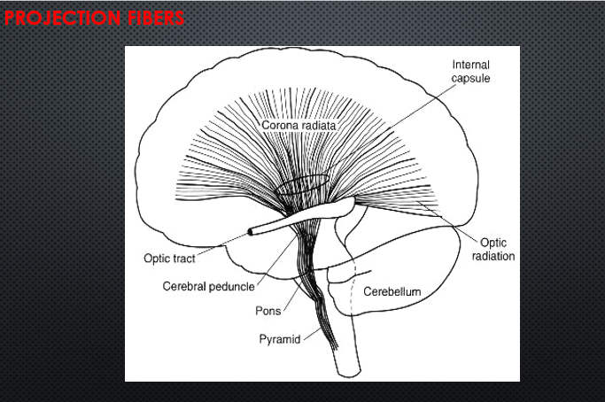 picture45.png