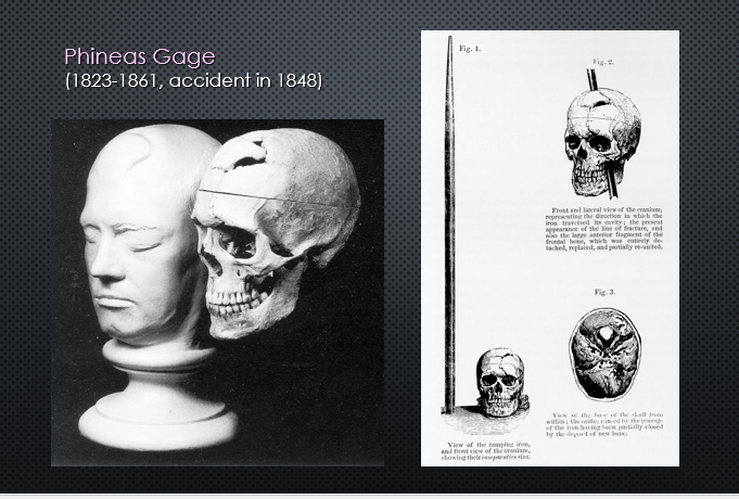 picture68.png