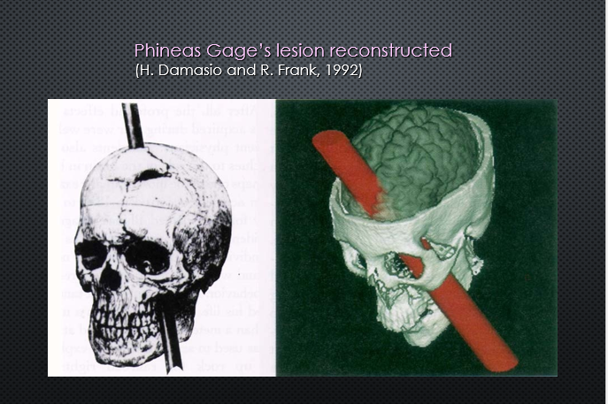 picture69.png