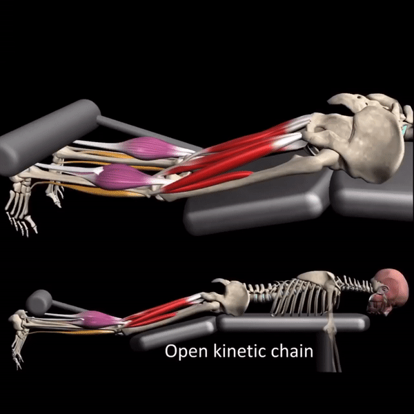 open kinetic joints.gif