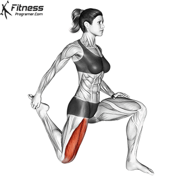 Kneeling-Quad-Stretch.gif