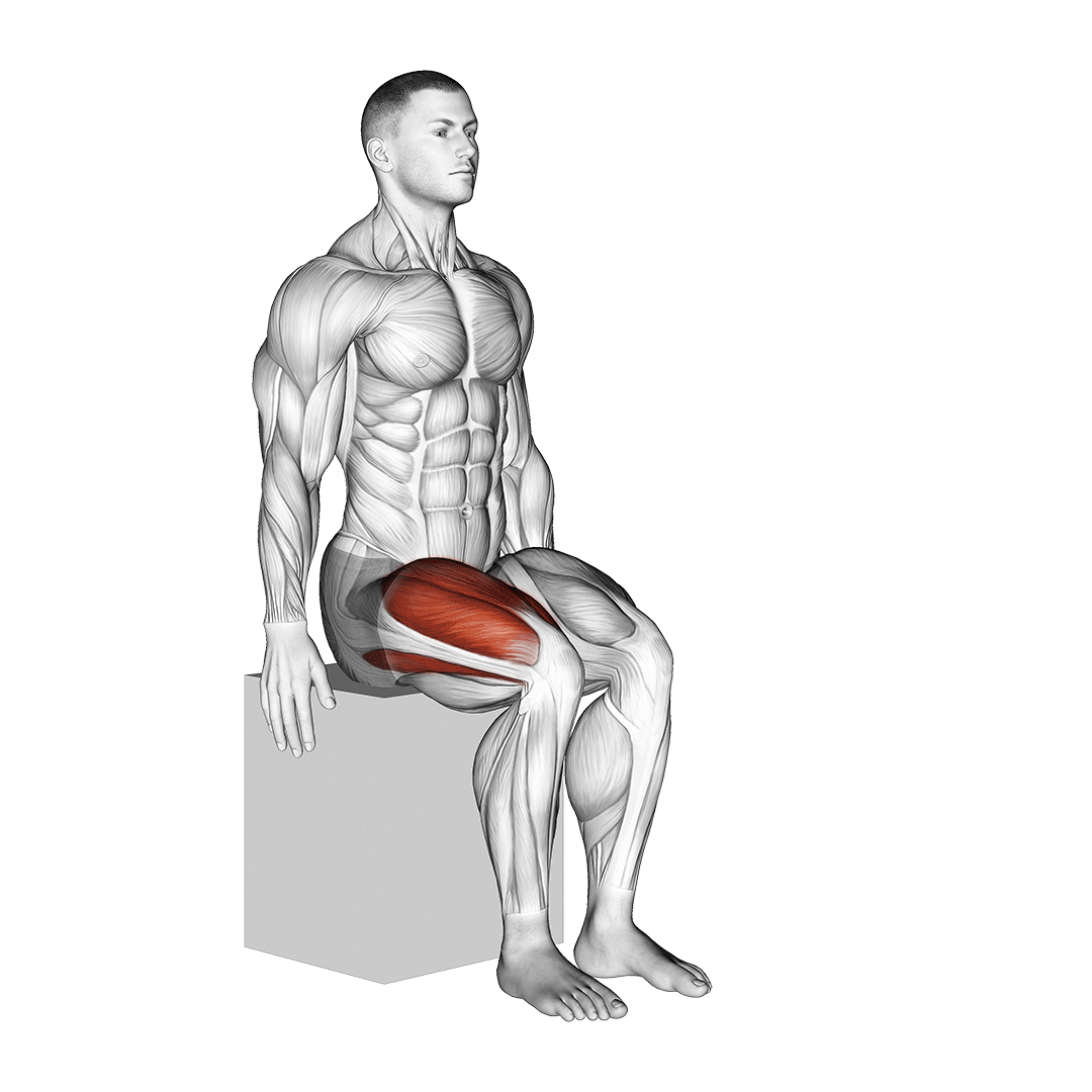 knee-extension.gif