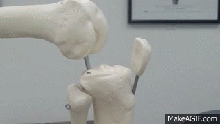CzcfcT.gif