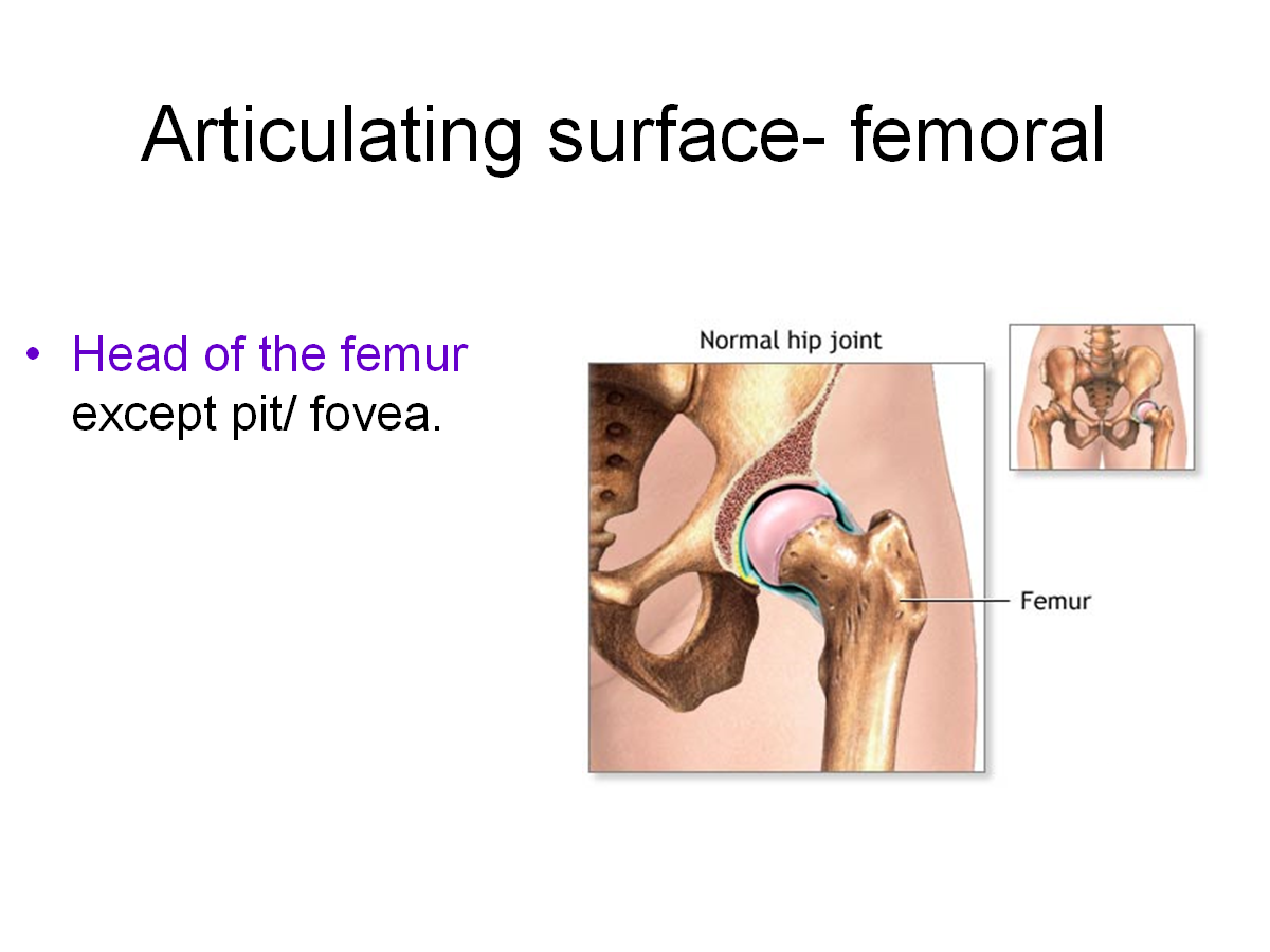 articulating surface.png