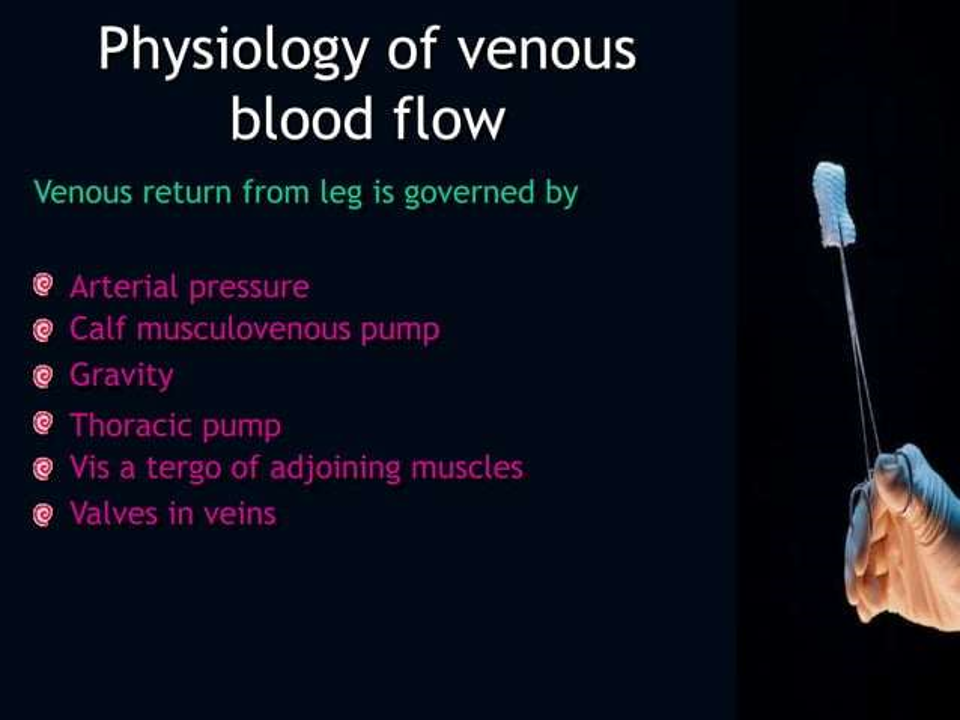 physiology of venous blood flow.png
