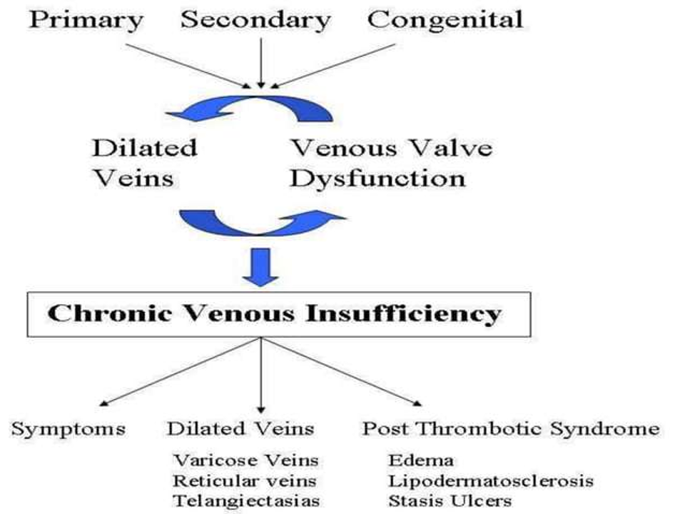 figure 4.png