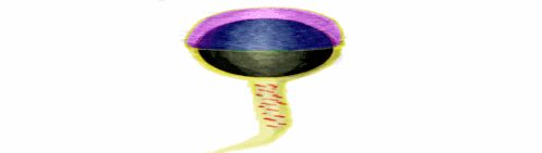 a7.1.gif